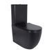 Унитаз напольный Qtap Robin Ultra Quiet безободковый с сиденьем Soft-Close MATT BLACK QT13226083AMB SD00052566 фото 1