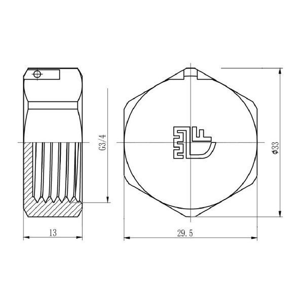 Заглушка Thermo Alliance Forte 3/4" ВР SF35220 SD00002515 фото